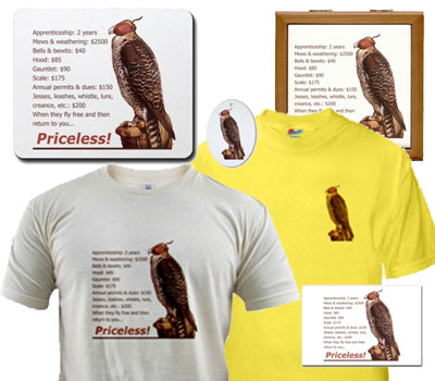 Falconry...