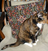 pic of Sputnik