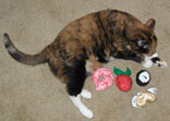 pic of Sputnik with catnip toys from Falcons Mews